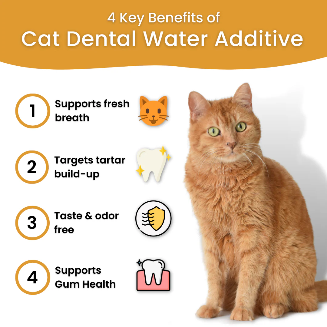 Dental Care Water Additive - Image 6