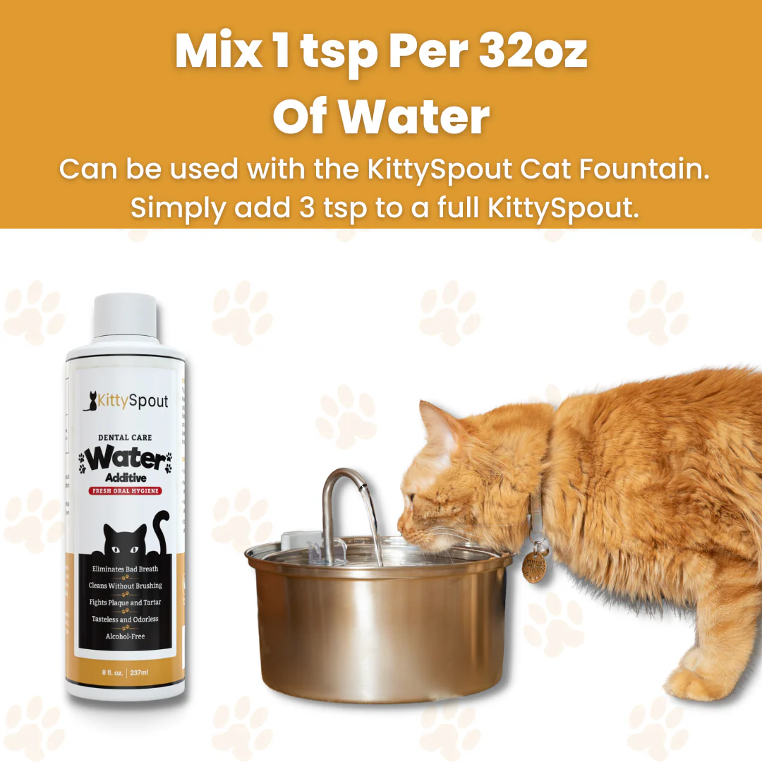 Dental Care Water Additive - Image 7