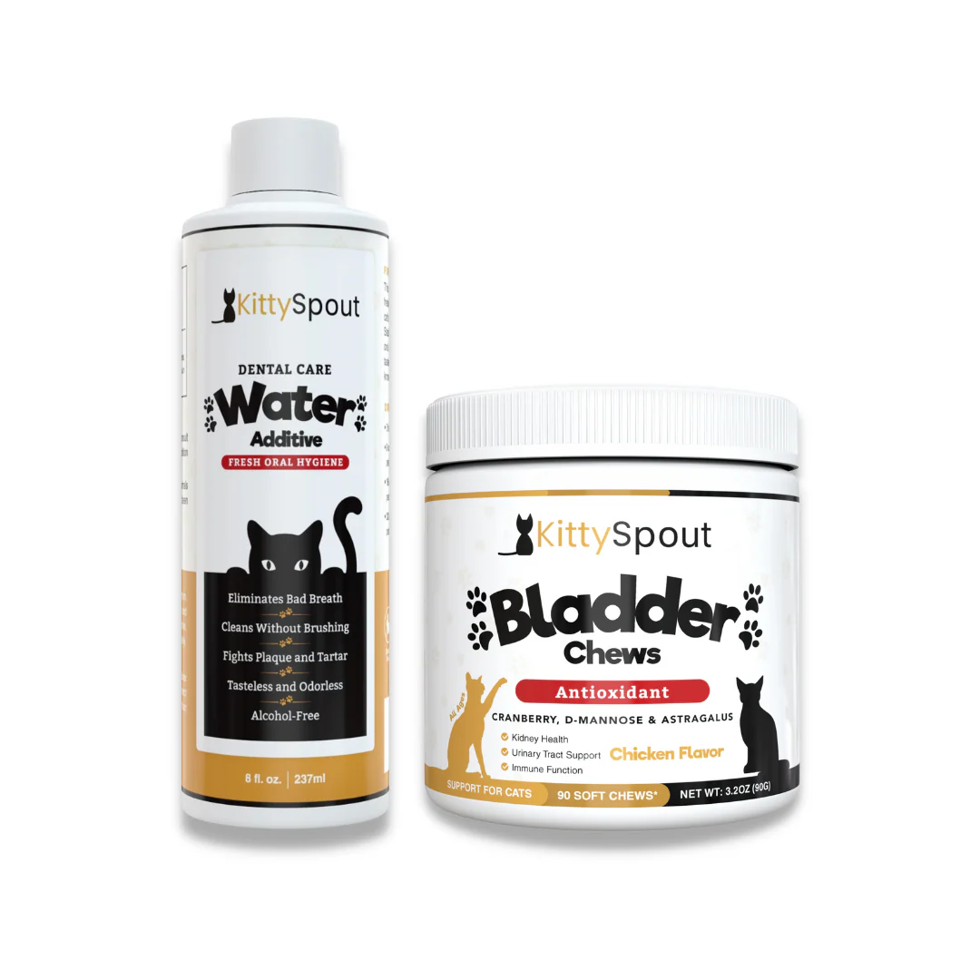 Hydration & Health Bundle - Image 4