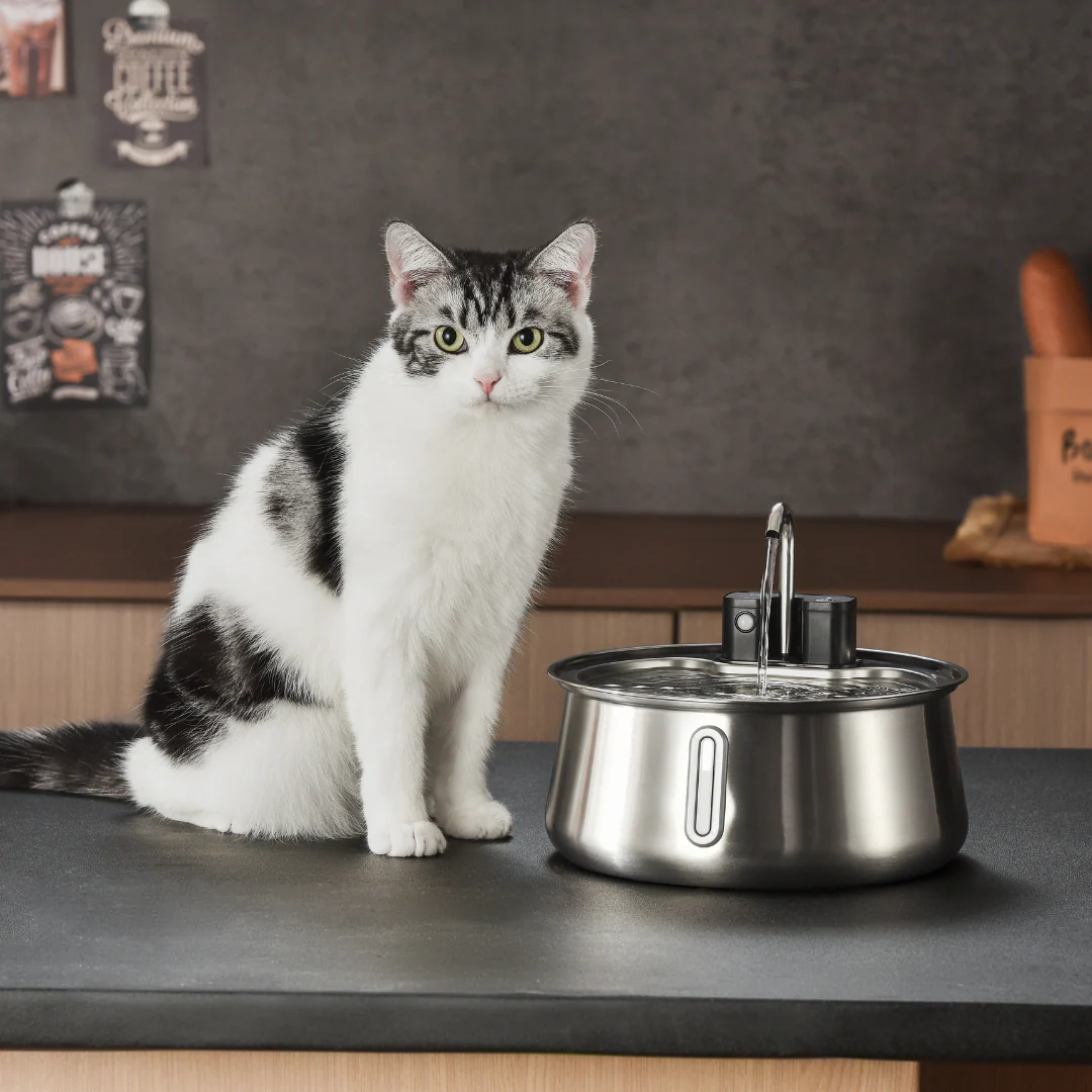 KittySpout™ - Water Pump - Image 3