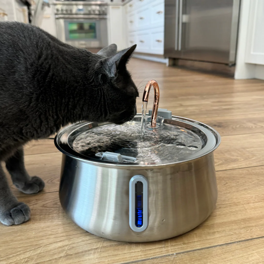 The KittySpout™ 2.0 - Health & Happiness Cat Kit - Image 3