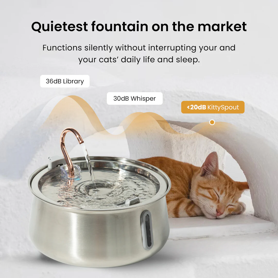 The KittySpout™ 2.0 - Health & Happiness Cat Kit - Image 6