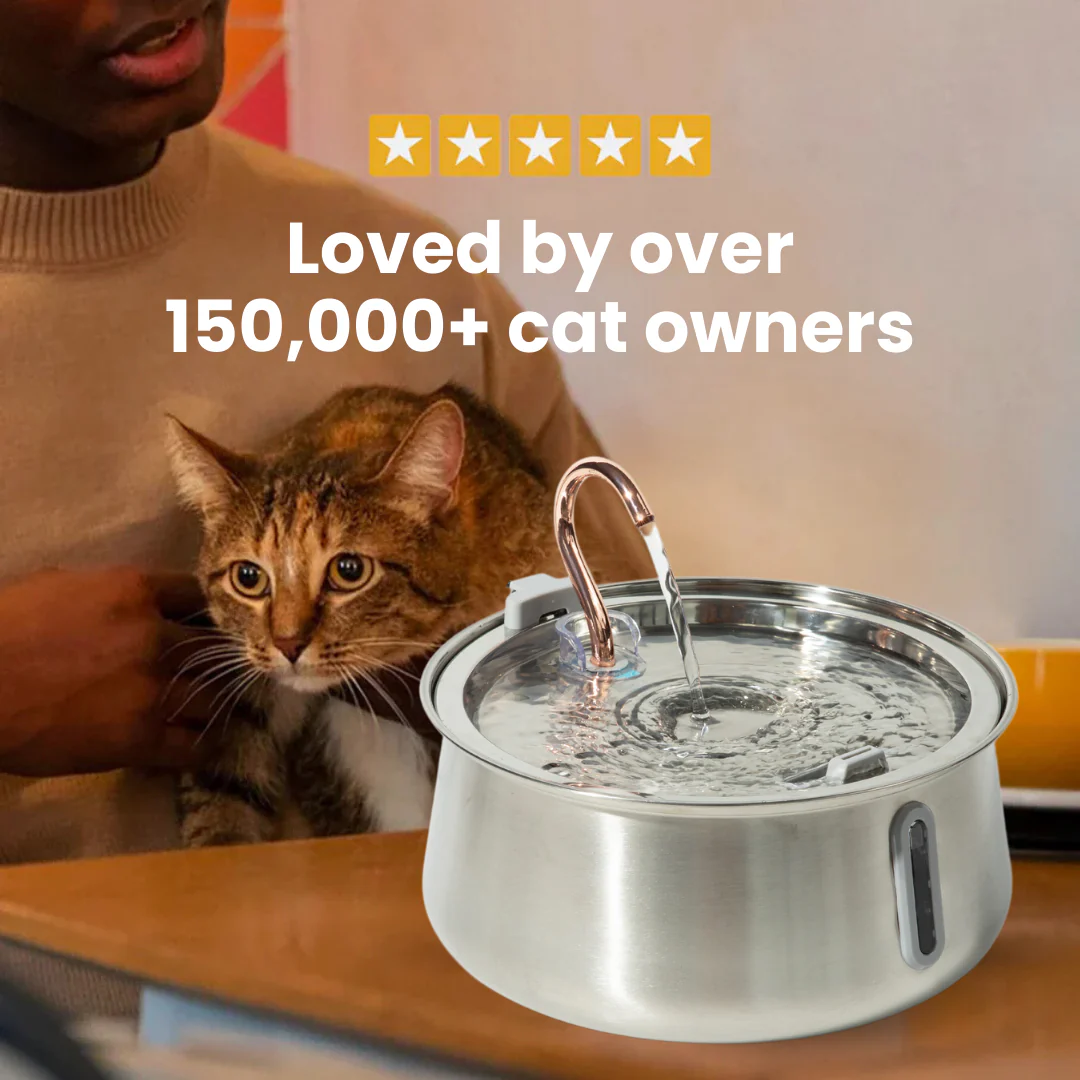 The KittySpout™ 2.0 - Health & Happiness Cat Kit - Image 7