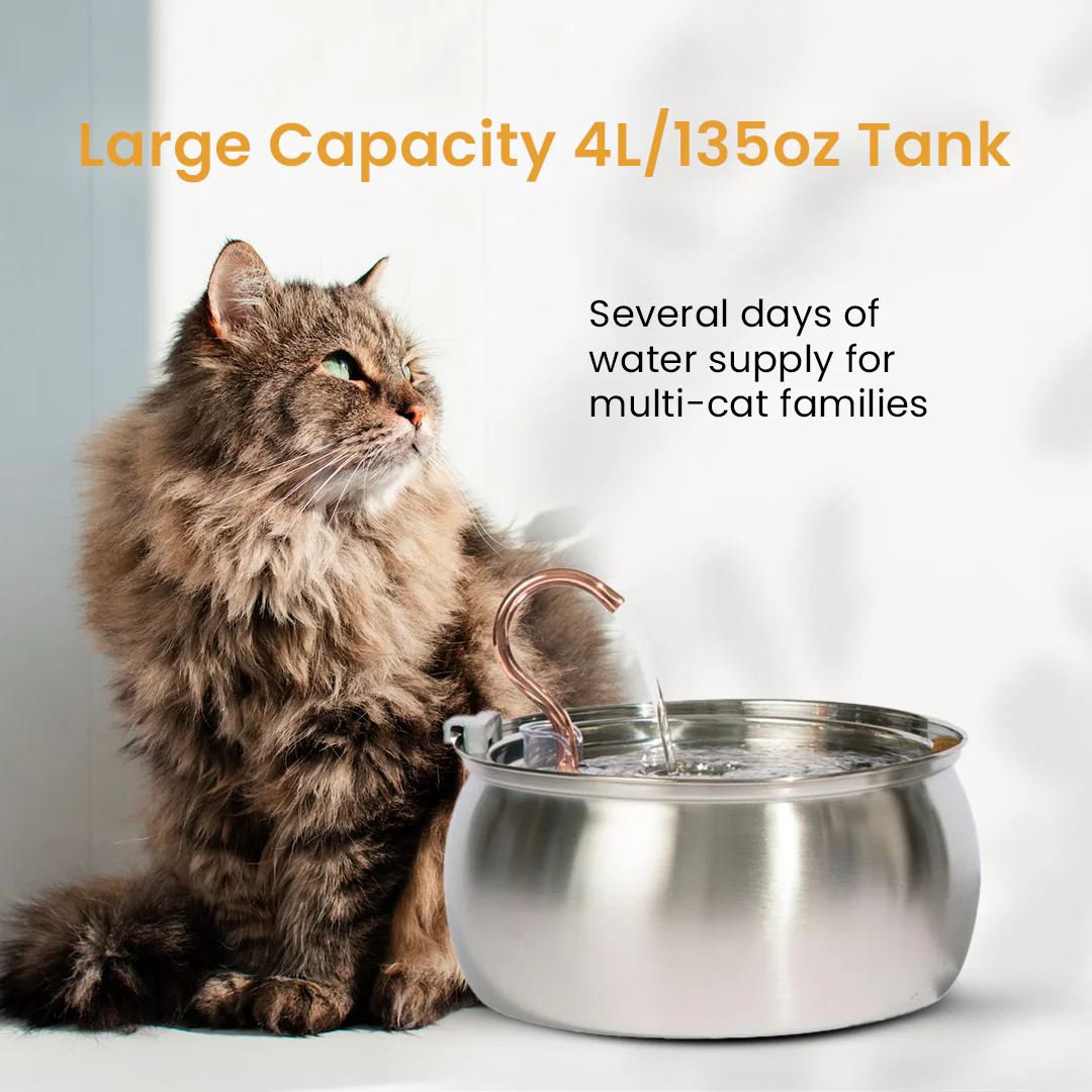 The KittySpout™ - Health & Happiness Cat Kit - Image 6