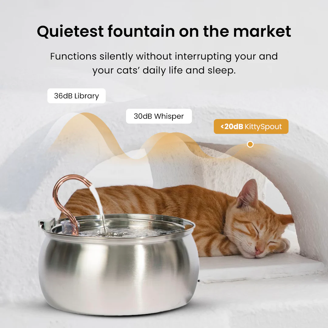 The KittySpout™ - Health & Happiness Cat Kit - Image 7