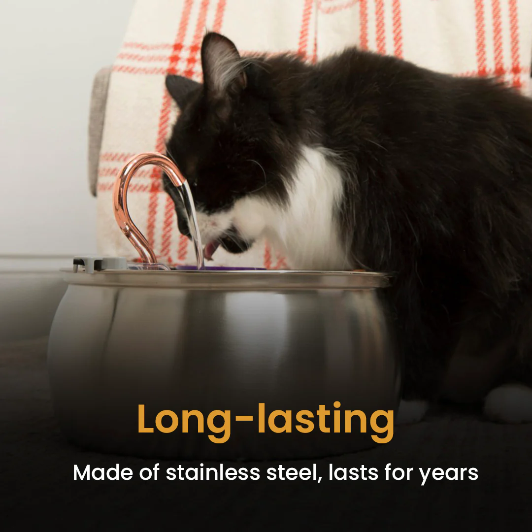 The KittySpout™ - Health & Happiness Cat Kit - Image 8
