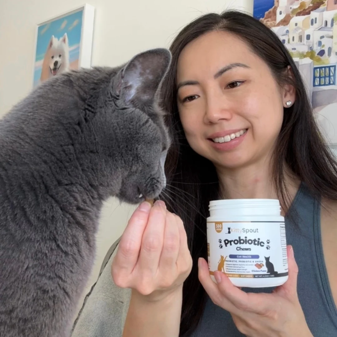 KittyTreats⁺ — Healthy Cat Treats - Image 2