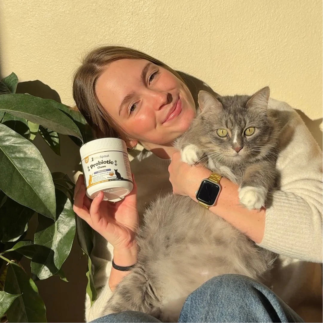 KittyTreats⁺ — Healthy Cat Treats - Image 4