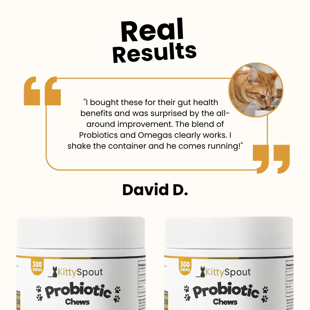 Probiotic Chews For Cats - Image 7