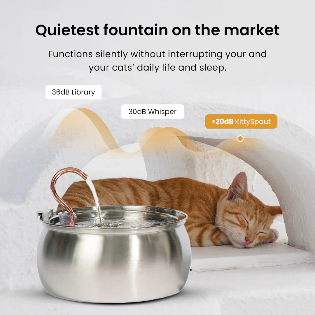 Like New KittySpout Value Bundle - 4L - Image 18