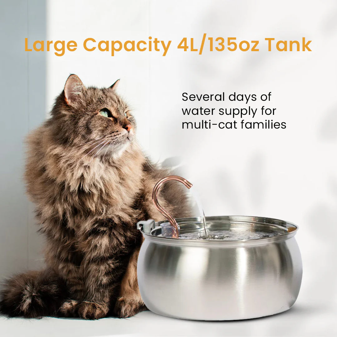 Like New KittySpout Value Bundle - 4L - Image 7