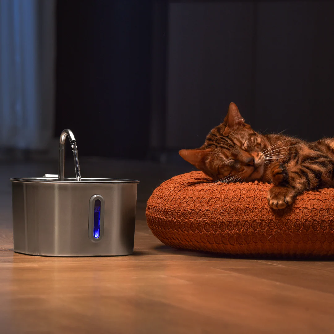 Like New The KittySpout - Health & Happiness Cat Kit (2.2L) - 2 Month: KittySpout + 4 filter sets + AC adapter - Image 8