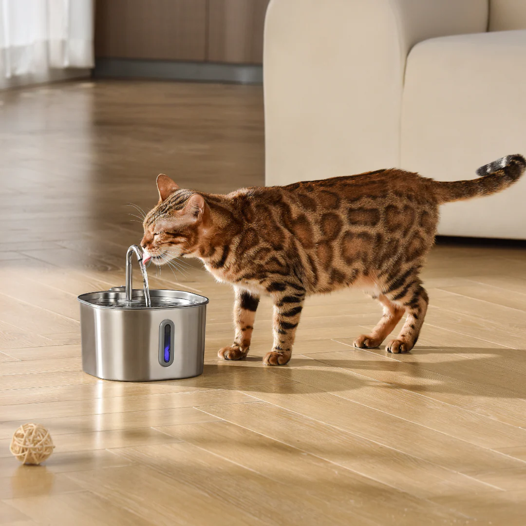 Like New The KittySpout - Health & Happiness Cat Kit (2.2L) - 4 Month: KittySpout + 8 filter sets + AC adapter + FREE gift - Image 5