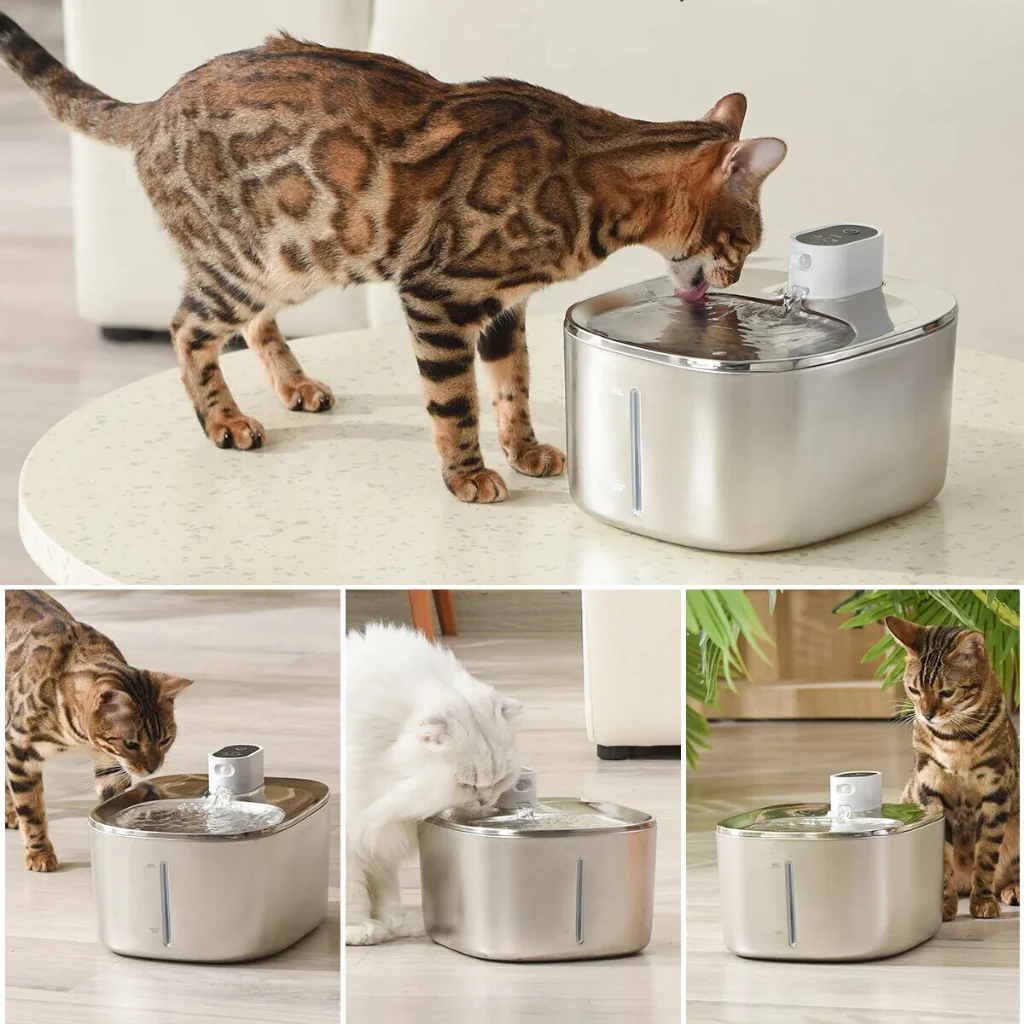 Like New The KittySpout - Wireless Fountain (Vet testimonials) - 1 Month: Wireless KittySpout + 2 filter sets - Image 7