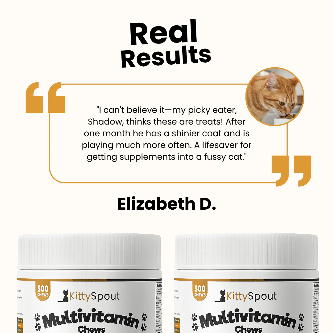 KittySpout Multivitamin Chews - 90 Day Supply - Image 7