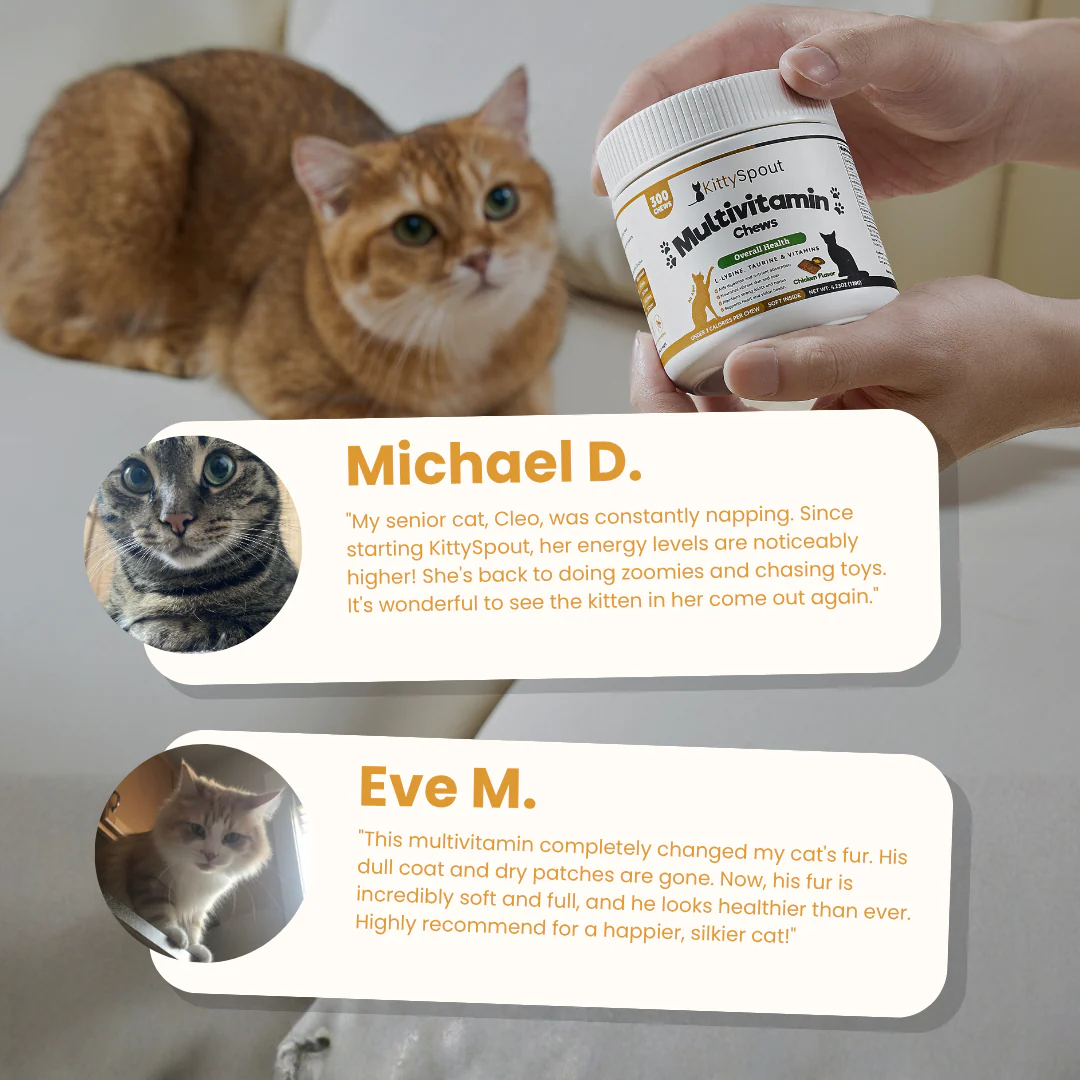 KittySpout Multivitamin Chews - 90 Day Supply - Image 9