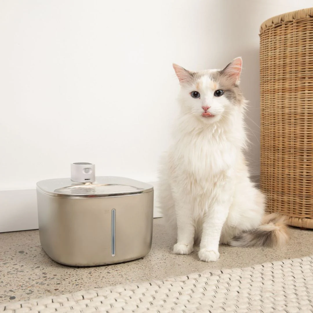 New The KittySpout - Wireless Fountain - 4 Month: Wireless KittySpout + 8 filter sets + free gift - Image 4