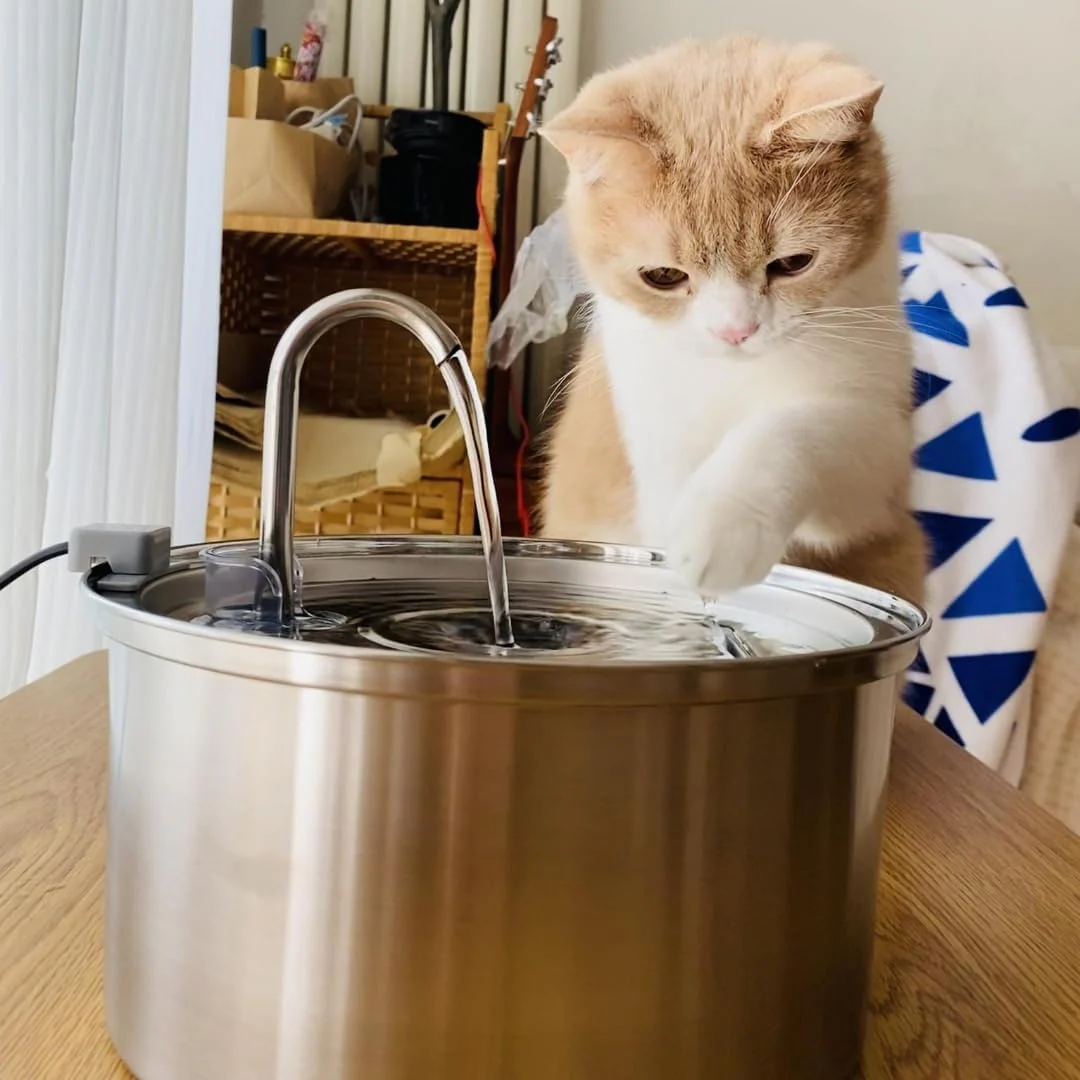 Pre-Owned KittySpout MFM001 Stainless Steel Cat Water Fountain, 3.2L - Image 2