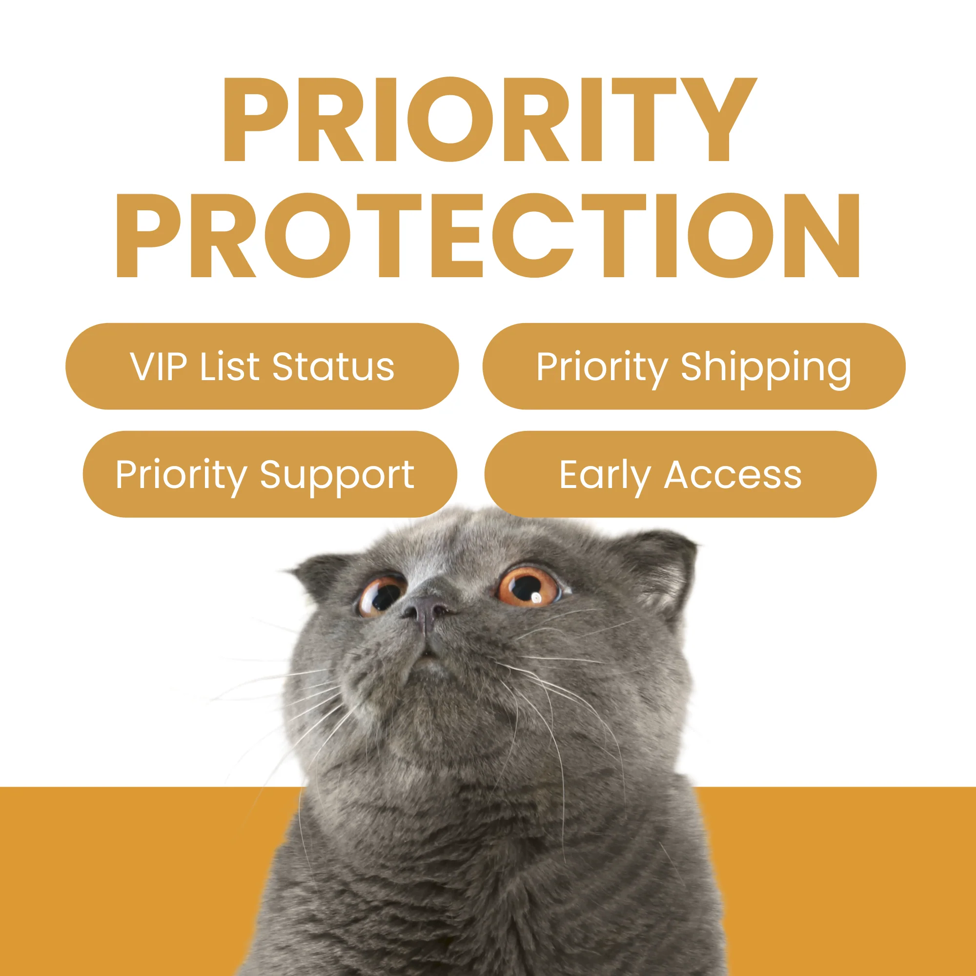Priority Protection