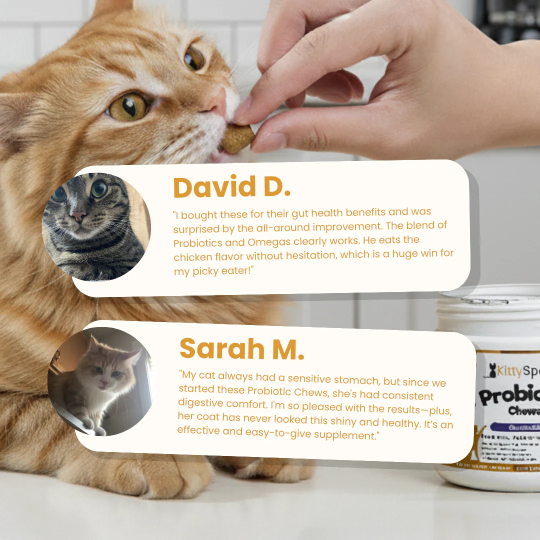 KittySpout Probiotic Chews - 90 Day Supply - Image 9