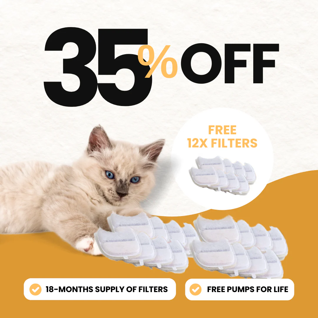 Refurbished 24x Filter Sets + 12x FREE - Wireless Filters - Image 7