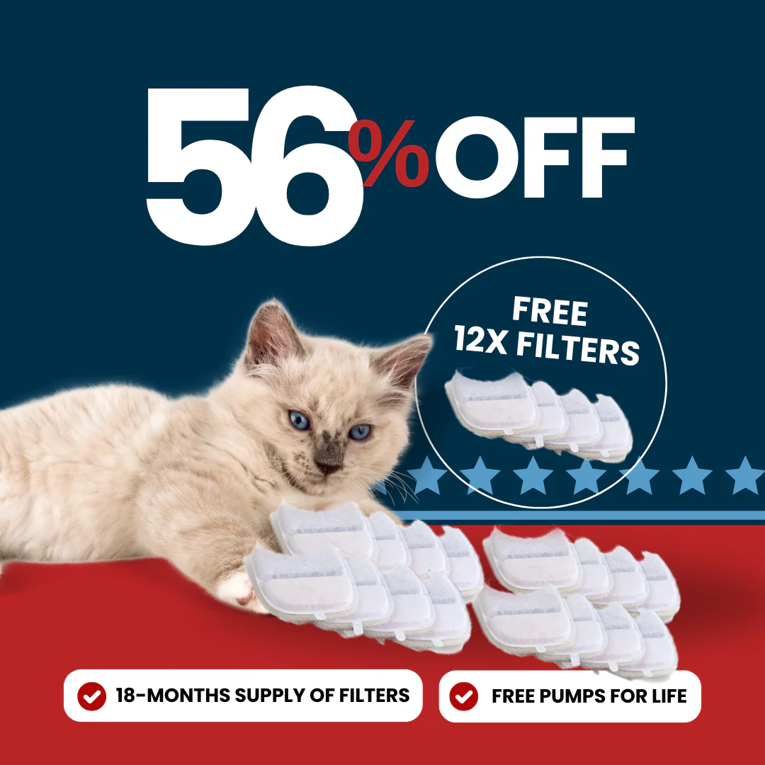 Refurbished 24x Filter Sets + 12x FREE - Wireless Filters Offer - Image 7
