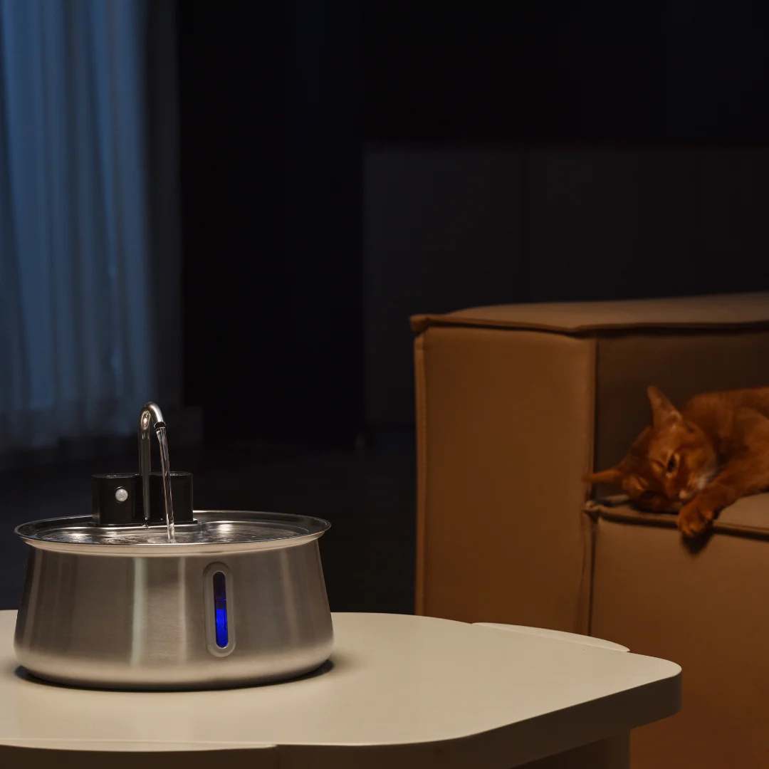 Refurbished The KittySpout - Wireless Fountain (Spout) - 4 Month: Wireless KittySpout + 8 filter sets + free gift - Image 3