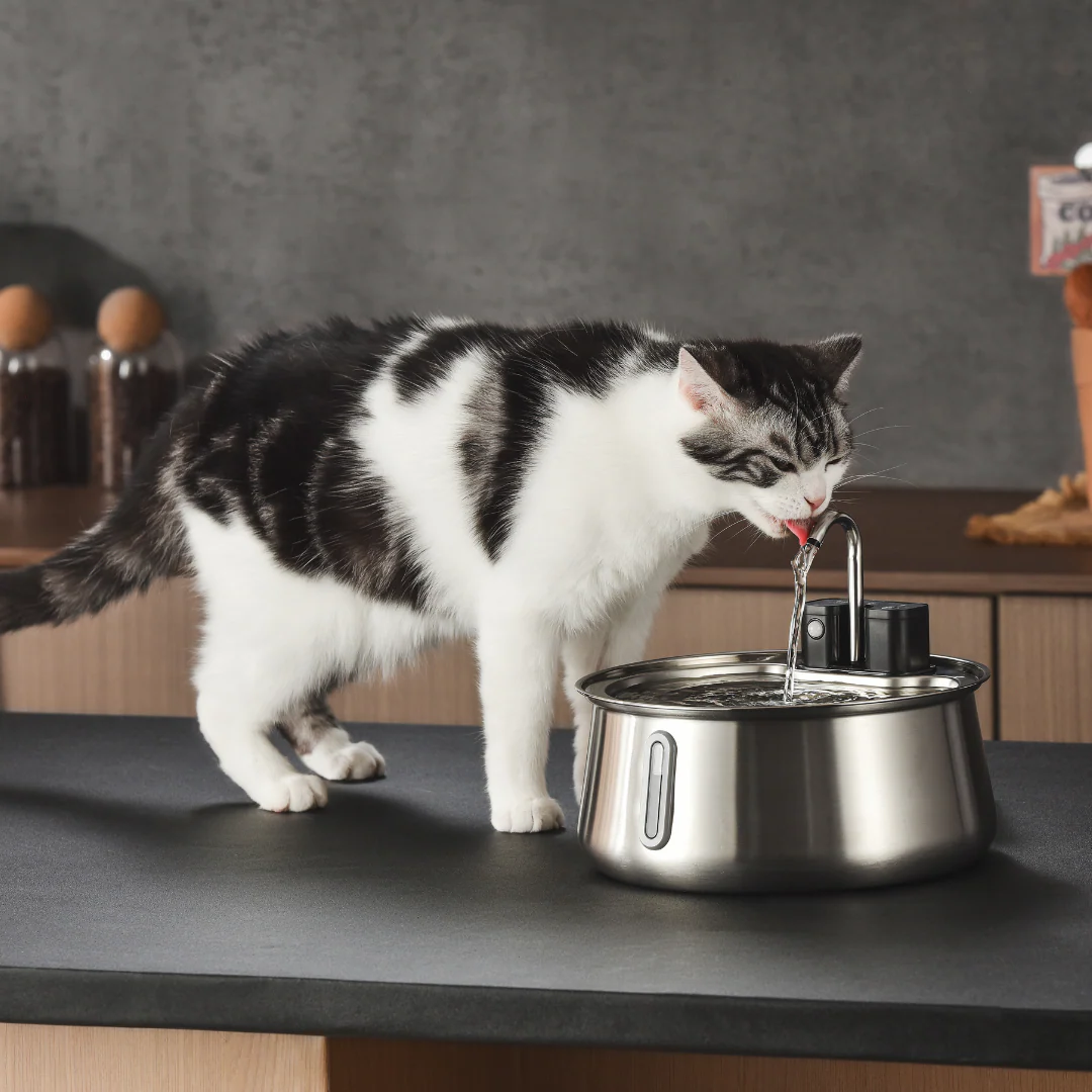 Refurbished The KittySpout - Wireless Fountain (Spout) - 6 Month: Wireless KittySpout + 8 filter sets + free gift - Image 6