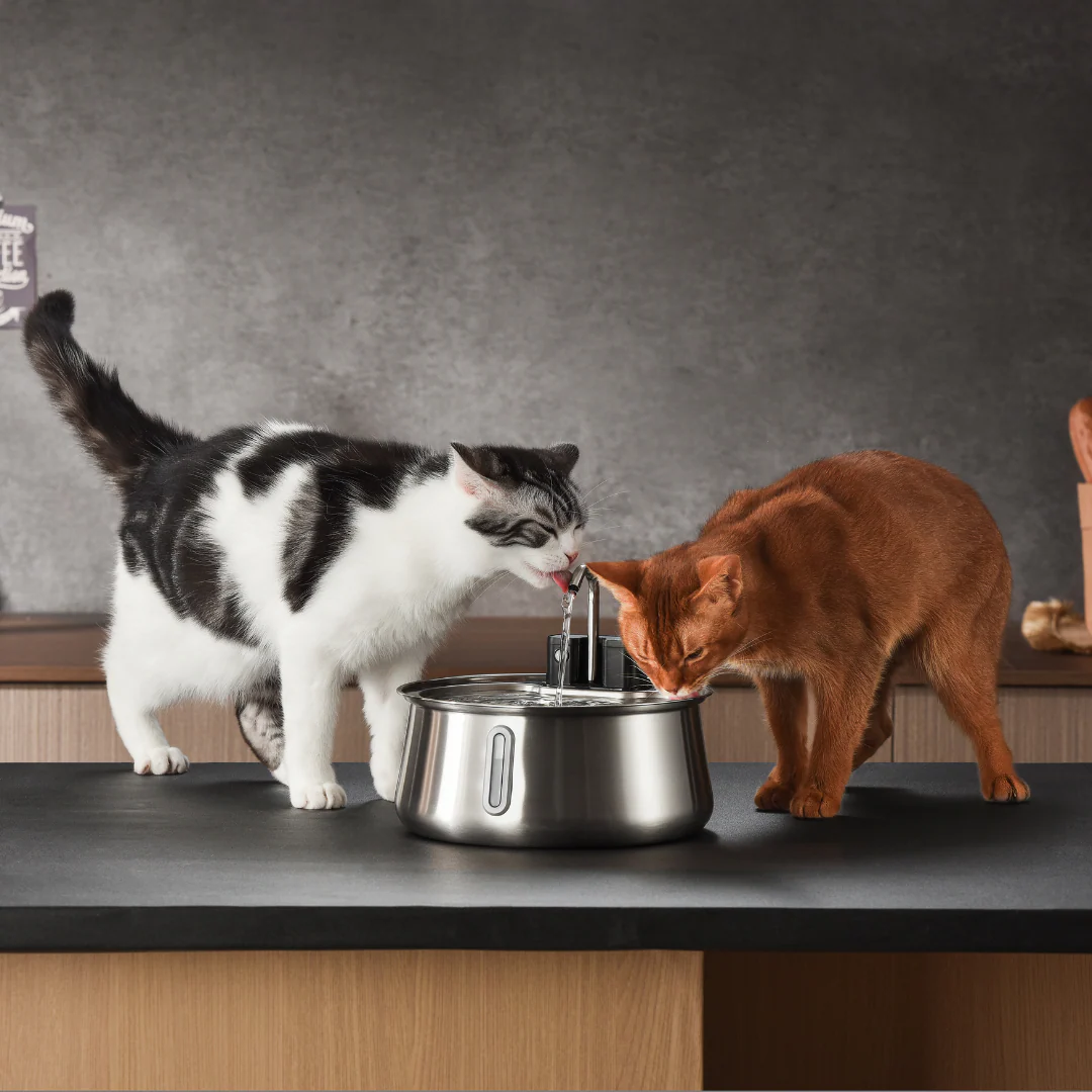 Refurbished The KittySpout - Wireless Fountain (Spout) - 6 Month: Wireless KittySpout + 8 filter sets + free gift - Image 9