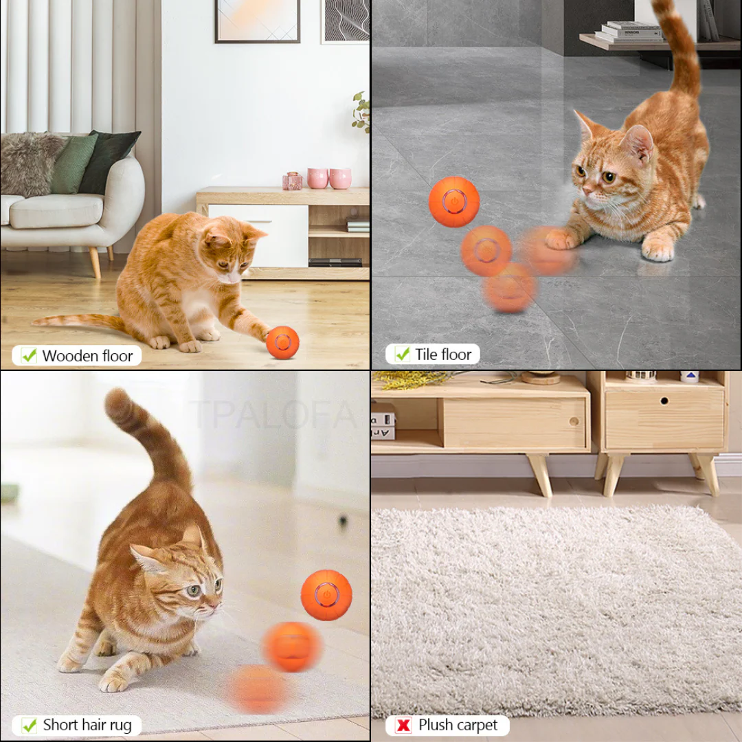 The KittyBall™ - Smart Cat Ball - Image 11