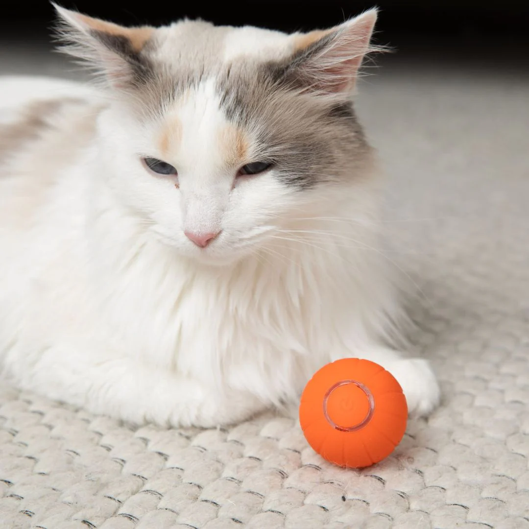 The KittyBall™ - Smart Cat Ball - Image 3