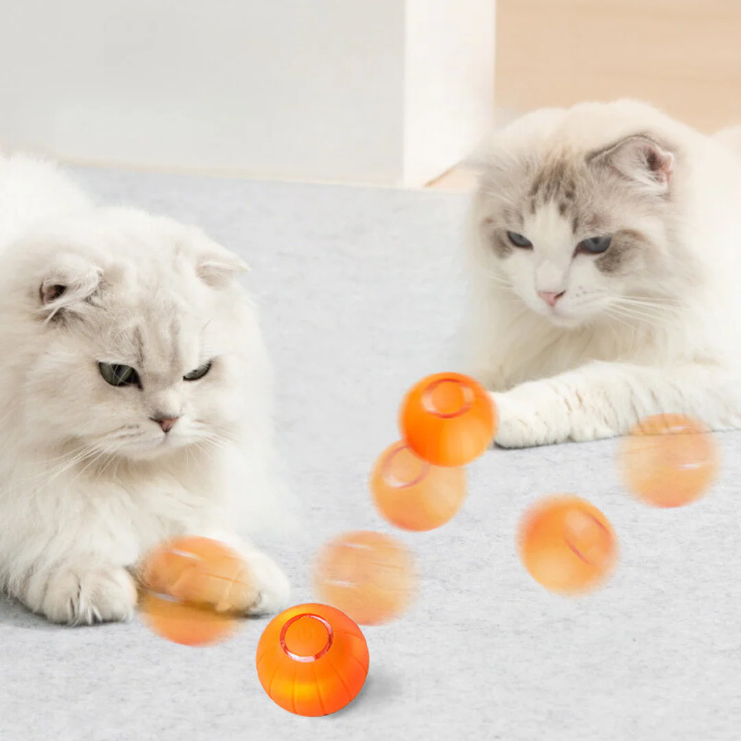 The KittyBall™ - Smart Cat Ball - Image 6