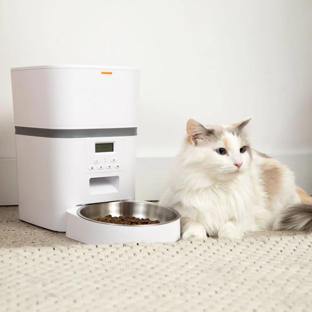 The KittyFeeder™ - Automatic Cat Feeder - Image 4