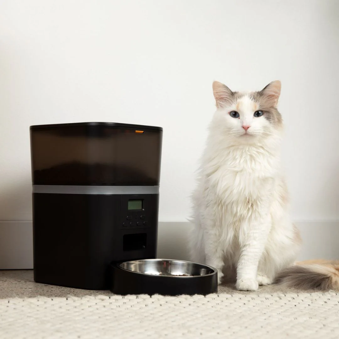 The KittyFeeder™ - Automatic Cat Feeder - Image 5