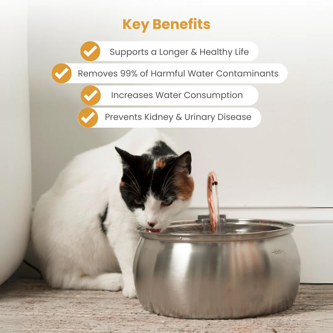 The KittySpout™ - 4L Fountain - Image 4