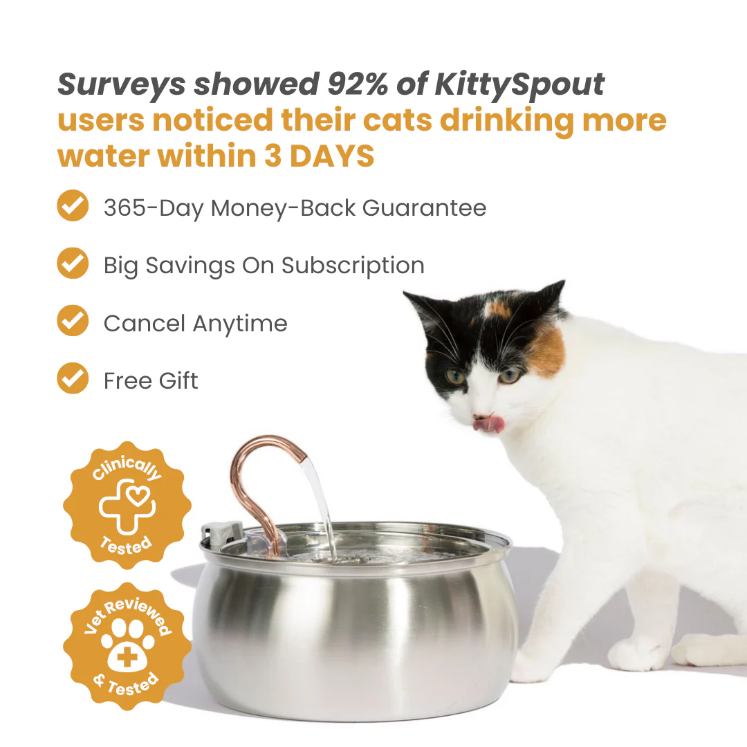 The KittySpout™ - 4L Fountain - Image 7