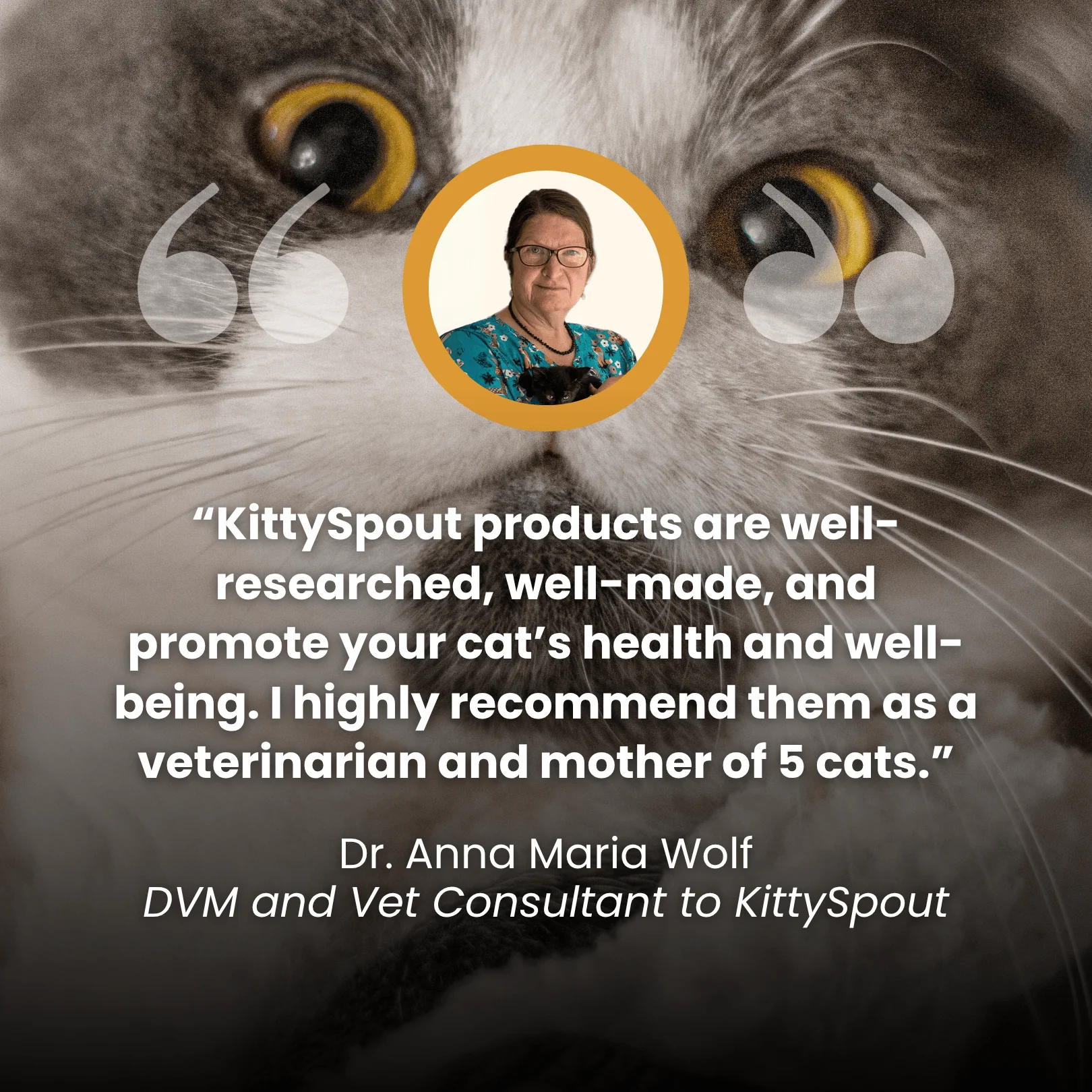 The KittySpout™ - Health & Happiness Cat Kit - Image 4