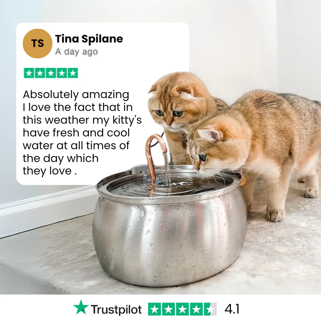 The KittySpout™ - Health & Happiness Cat Kit - Image 9