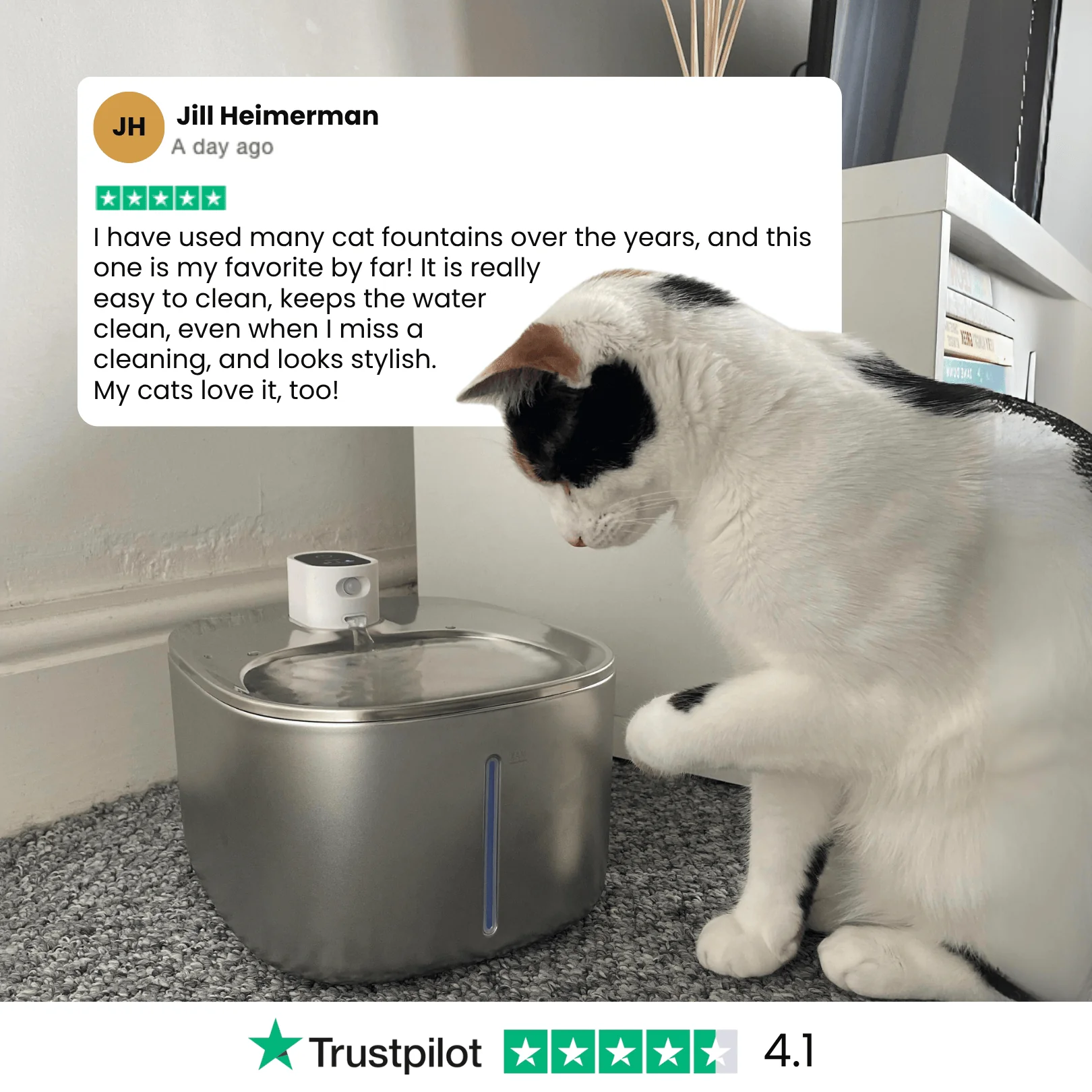 The KittySpout™ - Wireless Fountain - Image 10