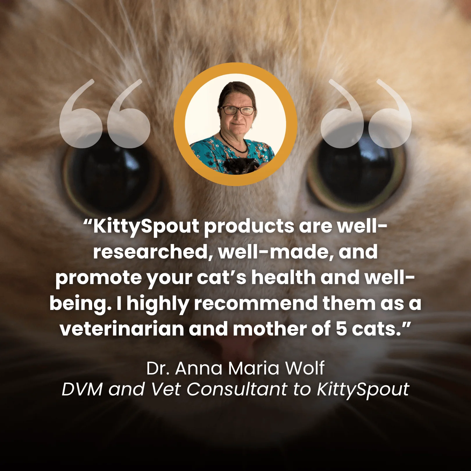The KittySpout™ - Wireless Fountain - Image 3