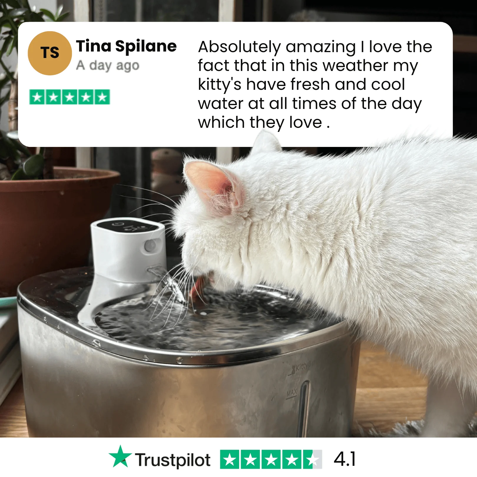 The KittySpout™ - Wireless Fountain - Image 8
