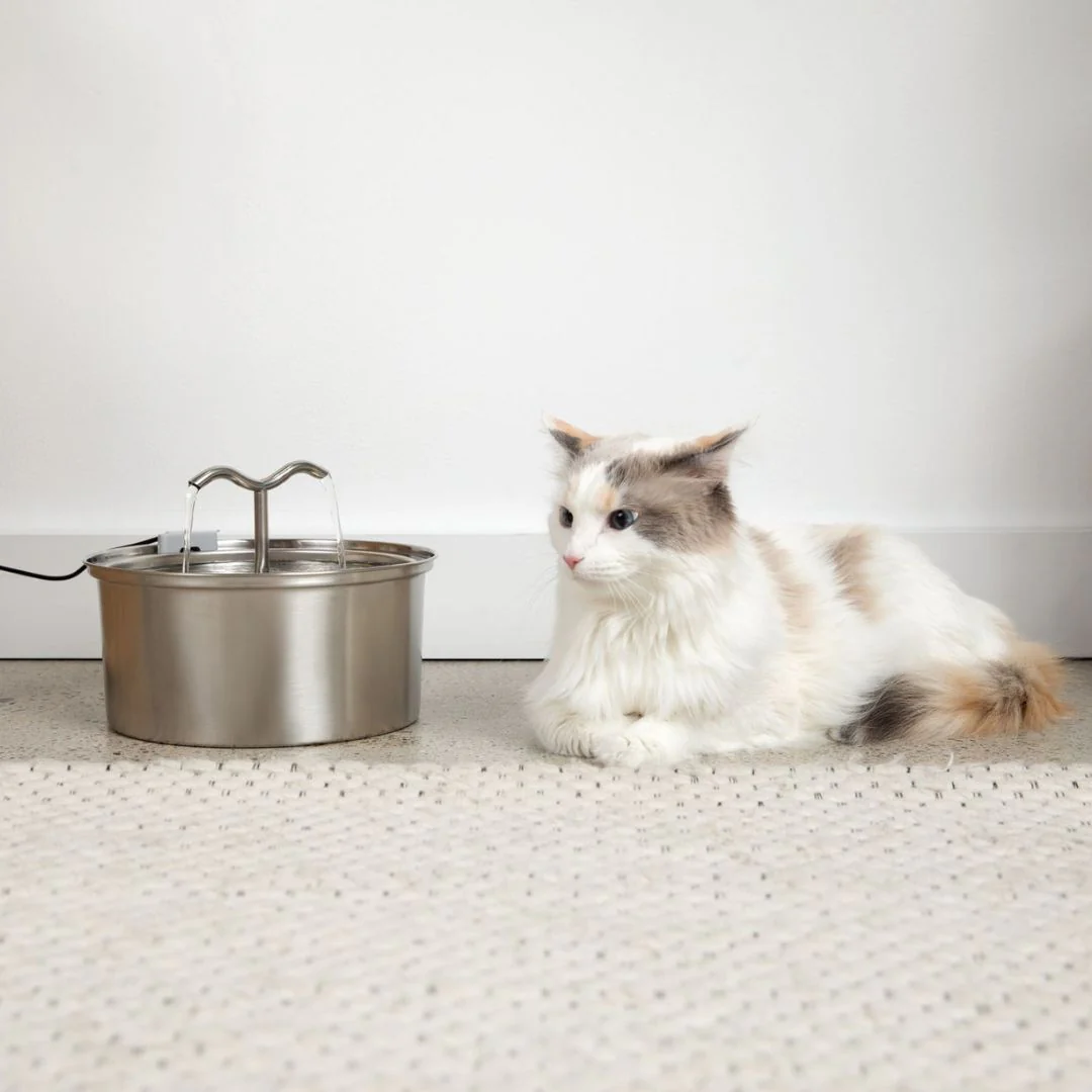The KittySpout™ - TwinFlow Fountain - Image 3