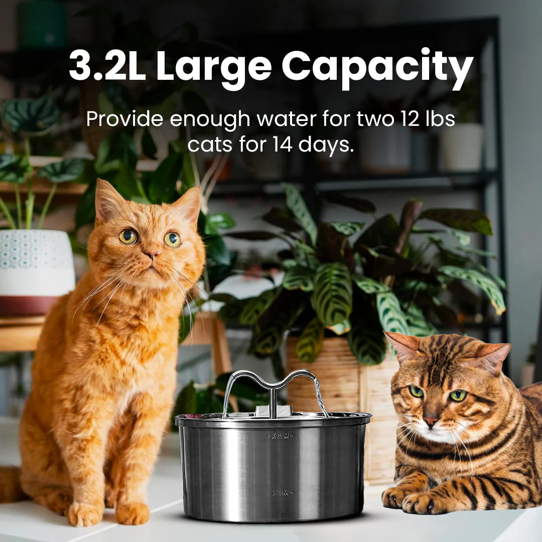 The KittySpout™ - TwinFlow Fountain - Image 4