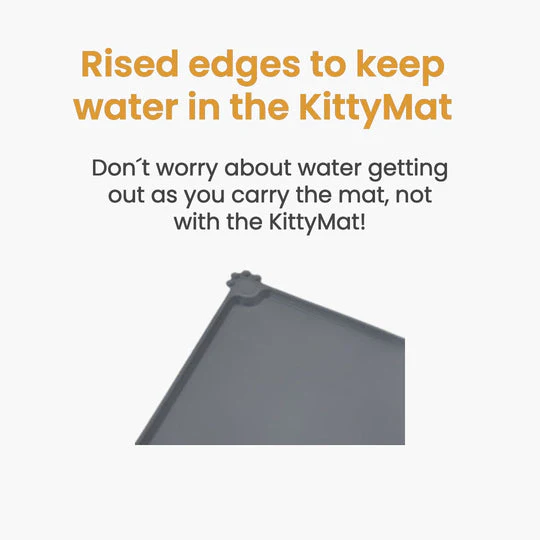 Wireless Purrr-fect KittySpout Kit - Image 11