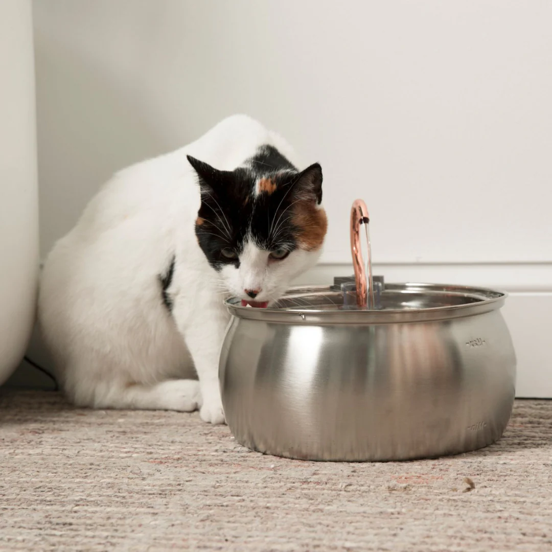 The KittySpout™ 135oz Fountain - Image 14